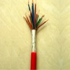 氟塑料絕緣耐高溫控制電纜