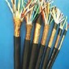 儀表用控制電纜、數(shù)字巡回檢測裝置用屏蔽電纜