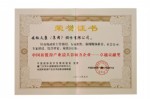 2012中國新能源產(chǎn)業(yè)最具影響力企業(yè)卓越貢獻(xiàn)獎(jiǎng)（證書）